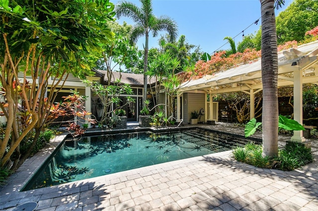 3112 W Wallcraft Ave, Tampa, FL 33611 - view of swimming pool