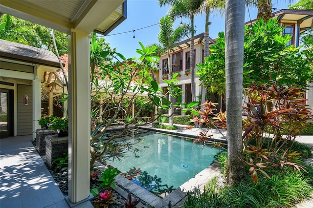 3112 W Wallcraft Ave, Tampa, FL 33611 - view of swimming pool