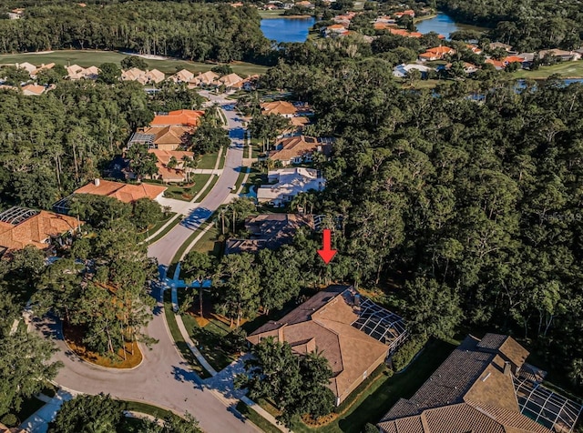 4962 Turtle Creek Trl, Oldsmar, FL 34677 - view of property location featuring a large body of water and nearby suburban area