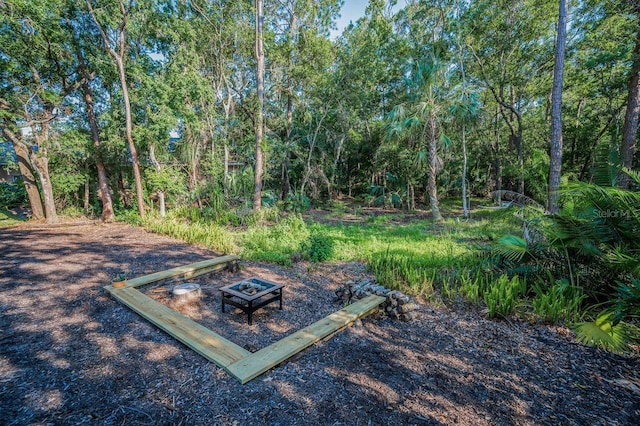 4962 Turtle Creek Trl, Oldsmar, FL 34677 - view of yard featuring a fire pit