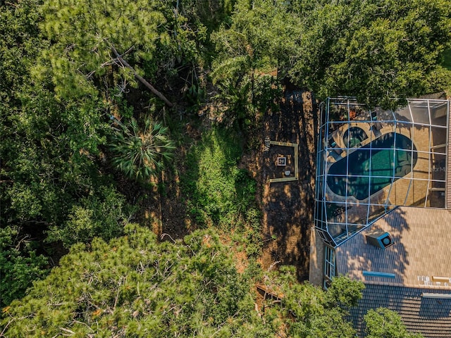 4962 Turtle Creek Trl, Oldsmar, FL 34677 - aerial view
