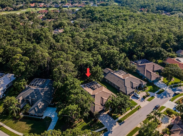 4962 Turtle Creek Trl, Oldsmar, FL 34677 - aerial view of property's location featuring a forest