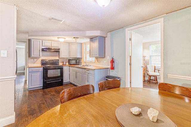 9020 Gray Fox Ln, Port Richey, FL 34668 - kitchen featuring electric range, gray cabinets, stainless steel microwave, under cabinet range hood, and dark wood-style floors