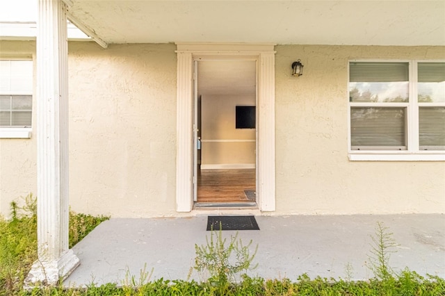 9020 Gray Fox Ln, Port Richey, FL 34668 - property entrance featuring stucco siding