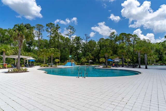 4345 Cadence Loop, Land O Lakes, FL 34638 - community pool featuring a patio and view of wooded area