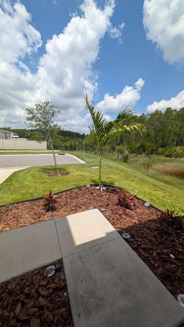 3446 Suncoast Plains Dr, Odessa, FL 33556 - view of patio / terrace