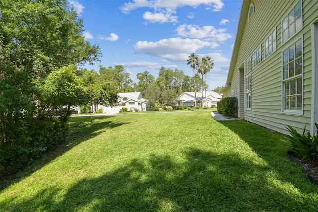 1624 Lullwater Ln, Lutz, FL 33549 - view of green lawn