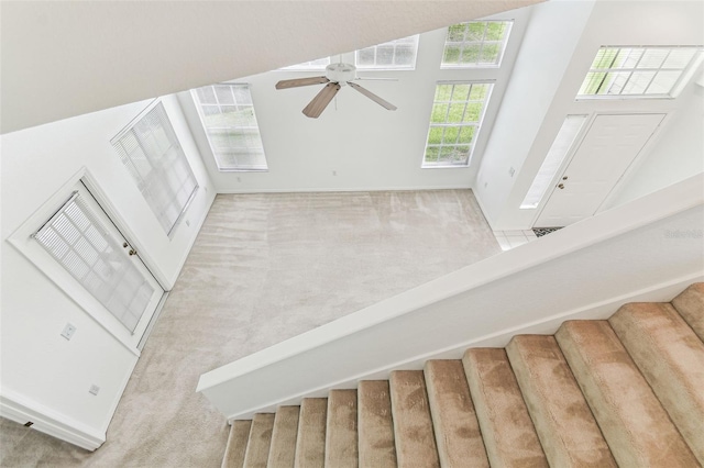 1624 Lullwater Ln, Lutz, FL 33549 - stairs featuring carpet flooring, a ceiling fan, baseboards, and high vaulted ceiling