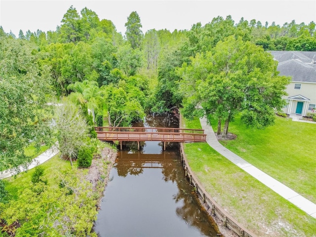 1624 Lullwater Ln, Lutz, FL 33549 - bird's eye view of a nearby body of water and a heavily wooded area