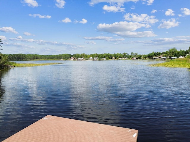1624 Lullwater Ln, Lutz, FL 33549 - dock area with a water view