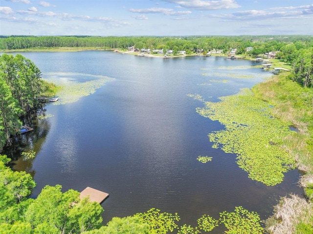 1624 Lullwater Ln, Lutz, FL 33549 - drone / aerial view of a nearby body of water