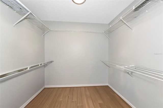 2311 64th Street Ct W, Bradenton, FL 34209 - spacious closet with wood finished floors