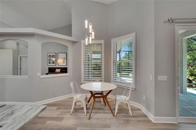 16367 Ashington Park Dr, Tampa, FL 33647 - dining area featuring light wood-type flooring, healthy amount of natural light, baseboards, and a towering ceiling