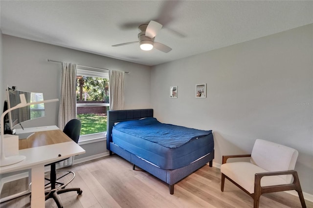 16367 Ashington Park Dr, Tampa, FL 33647 - bedroom featuring light wood-style flooring, a desk, baseboards, and a ceiling fan