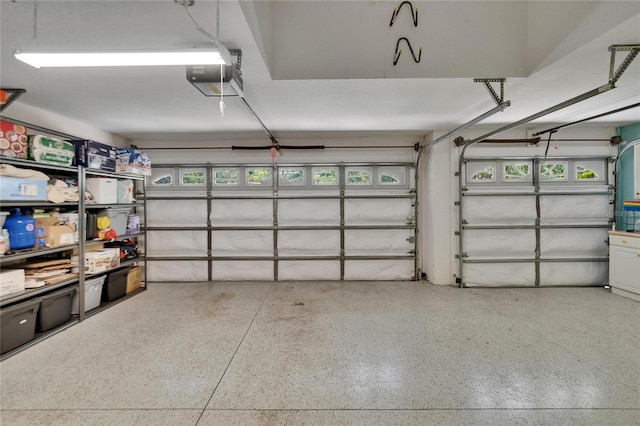 16367 Ashington Park Dr, Tampa, FL 33647 - garage featuring a garage door opener