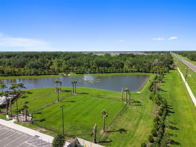 12517 Nantahala Run, Parrish, FL 34219 - bird's eye view of a large body of water and a forest