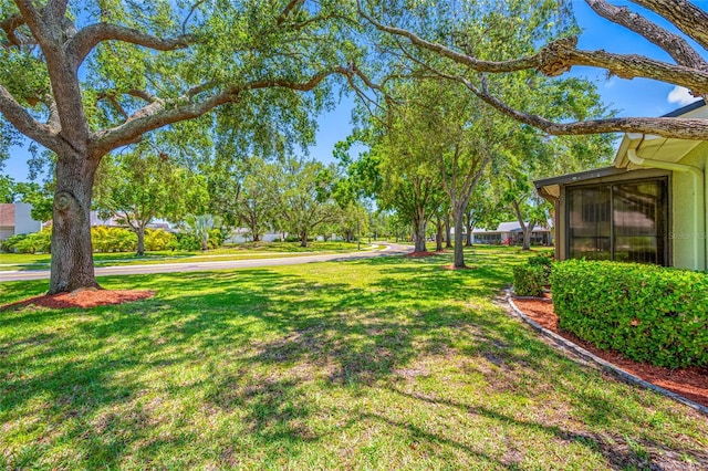 70 Cypress Pl, Oldsmar, FL 34677 - view of green lawn