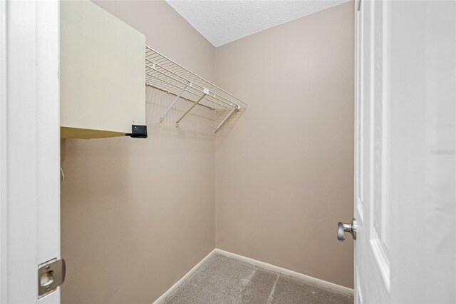 70 Cypress Pl, Oldsmar, FL 34677 - walk in closet featuring carpet