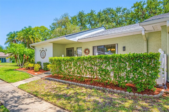 70 Cypress Pl, Oldsmar, FL 34677 - view of front facade with a front lawn, stucco siding, and a shingled roof