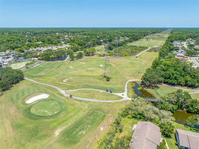 70 Cypress Pl, Oldsmar, FL 34677 - aerial overview of property's location featuring a large body of water
