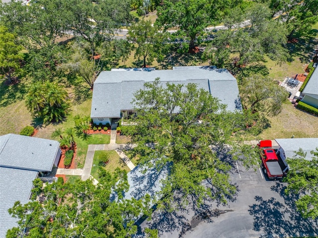 70 Cypress Pl, Oldsmar, FL 34677 - view of subject property