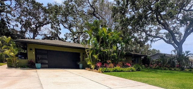 8260 32nd Ave N, Saint Petersburg, FL 33710 - photo 1
