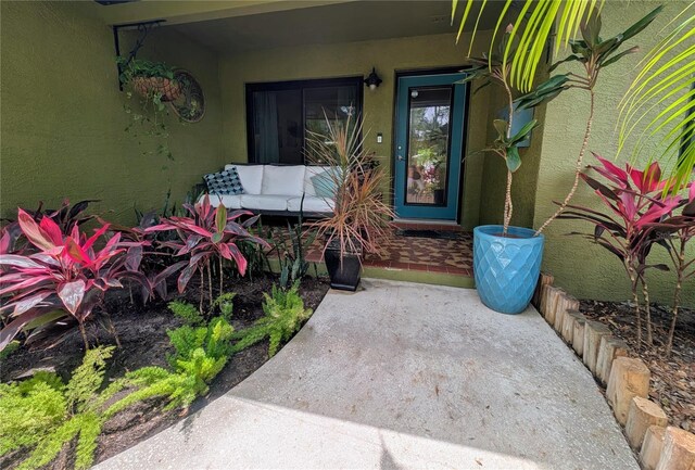 8260 32nd Ave N, Saint Petersburg, FL 33710 - photo 9
