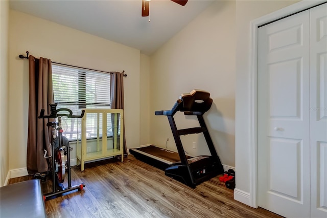 3410 Briarwood Ln, Safety Harbor, FL 34695 - photo 35