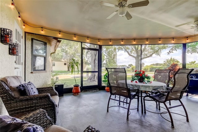 3410 Briarwood Ln, Safety Harbor, FL 34695 - photo 57