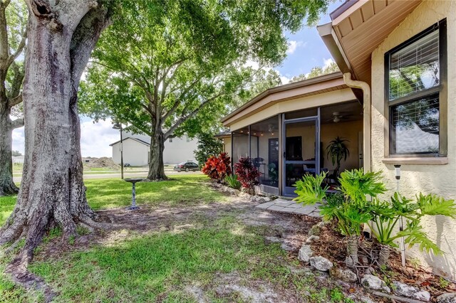 3410 Briarwood Ln, Safety Harbor, FL 34695 - photo 63
