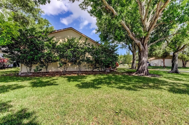 3410 Briarwood Ln, Safety Harbor, FL 34695 - photo 66