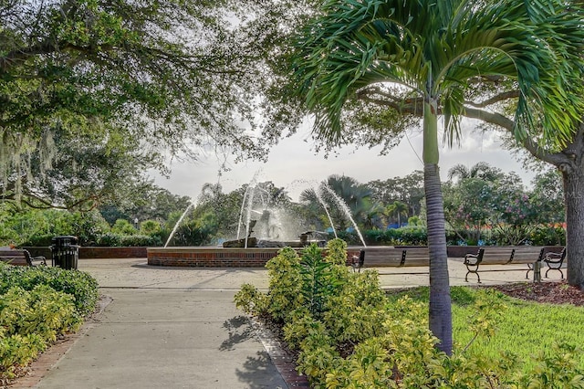 3410 Briarwood Ln, Safety Harbor, FL 34695 - photo 72