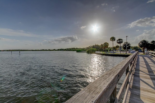 3410 Briarwood Ln, Safety Harbor, FL 34695 - photo 79