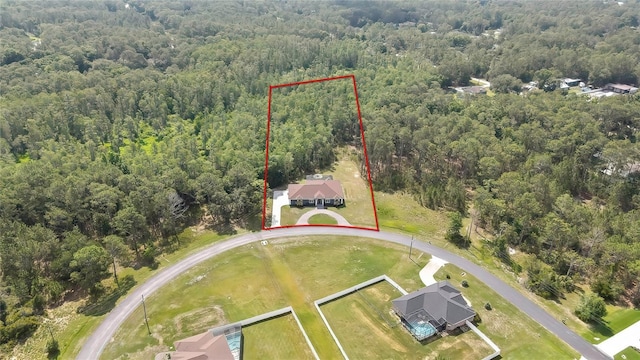 27338 Elkwood Cir, Wesley Chapel, FL 33544 - photo 2