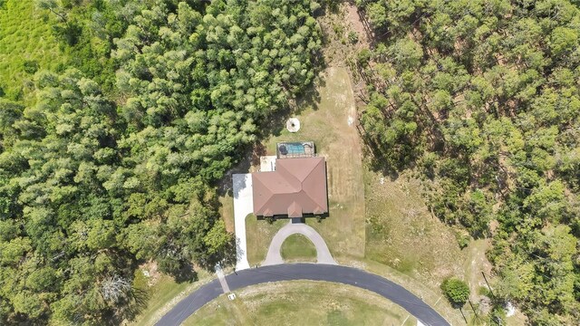 27338 Elkwood Cir, Wesley Chapel, FL 33544 - photo 3