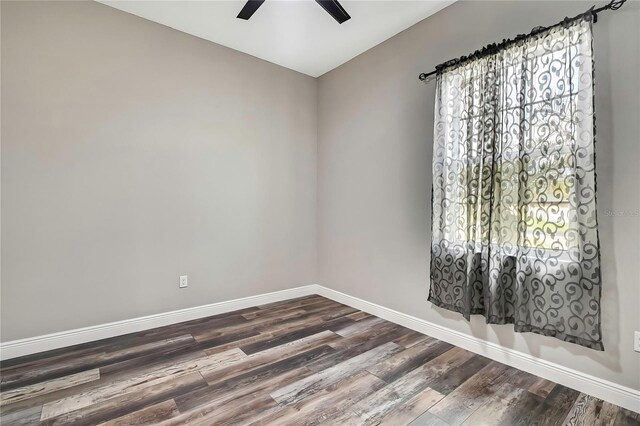 27338 Elkwood Cir, Wesley Chapel, FL 33544 - photo 31