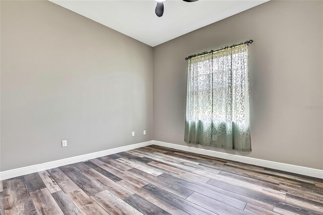 27338 Elkwood Cir, Wesley Chapel, FL 33544 - photo 39