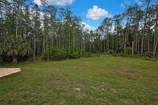 27338 Elkwood Cir, Wesley Chapel, FL 33544 - photo 61
