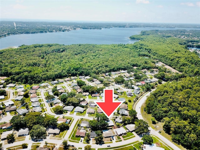 2212 Portside Psge, Palm Harbor, FL 34685 - photo 5