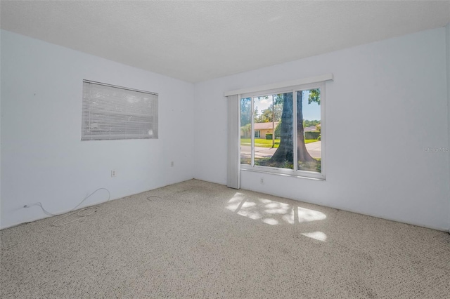 2212 Portside Psge, Palm Harbor, FL 34685 - photo 35