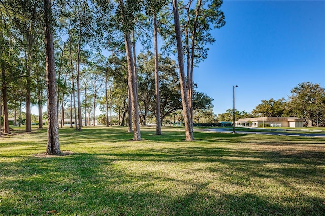 2212 Portside Psge, Palm Harbor, FL 34685 - photo 79