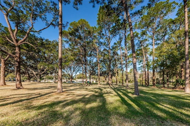 2212 Portside Psge, Palm Harbor, FL 34685 - photo 81