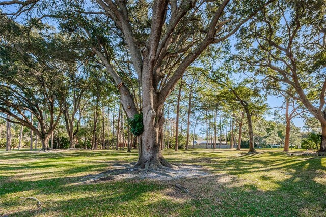 2212 Portside Psge, Palm Harbor, FL 34685 - photo 85