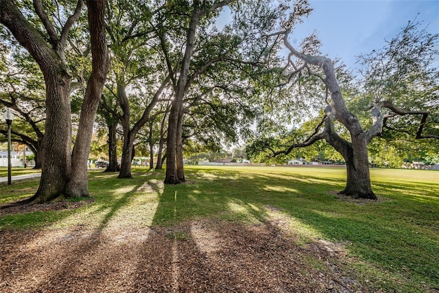 1766 Hitching Post Ln, Dunedin, FL 34698 - view of grassy yard