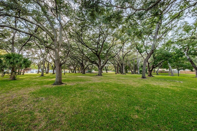 1766 Hitching Post Ln, Dunedin, FL 34698 - view of grassy yard