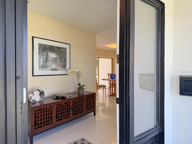 1775 62nd Ter S, Saint Petersburg, FL 33712 - photo 4