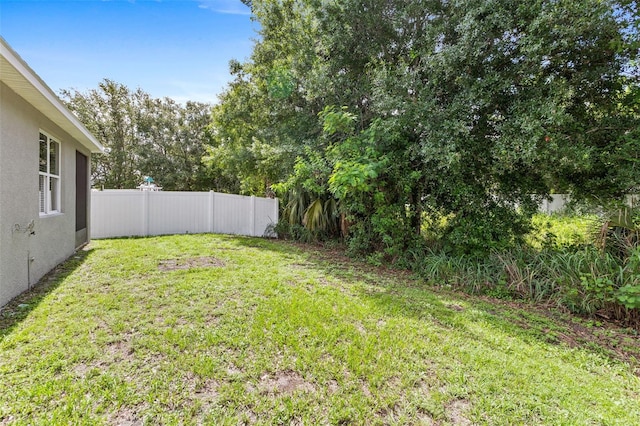 7725 Tangle Rush Dr, Gibsonton, FL 33534 - view of yard