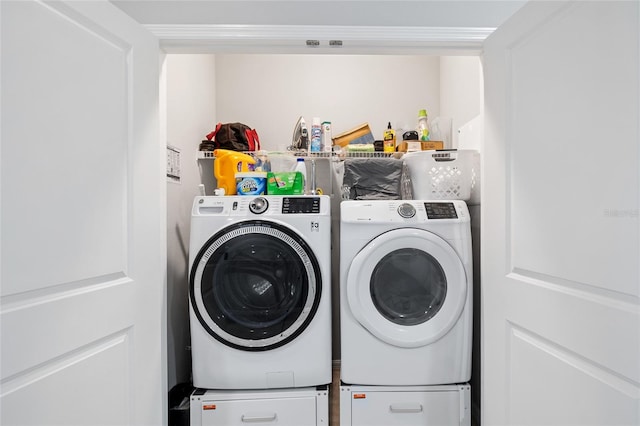 12353 Bayou Flats Ln, Tampa, FL 33635 - laundry area featuring washing machine and clothes dryer