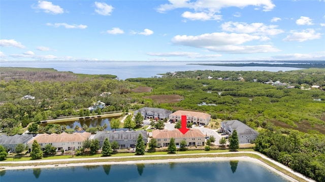 12353 Bayou Flats Ln, Tampa, FL 33635 - aerial view of a nearby body of water and a heavily wooded area