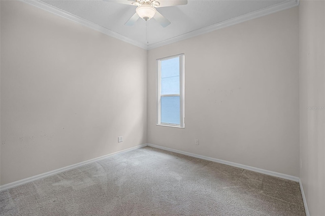 16515 Nikki Ln, Odessa, FL 33556 - photo 22